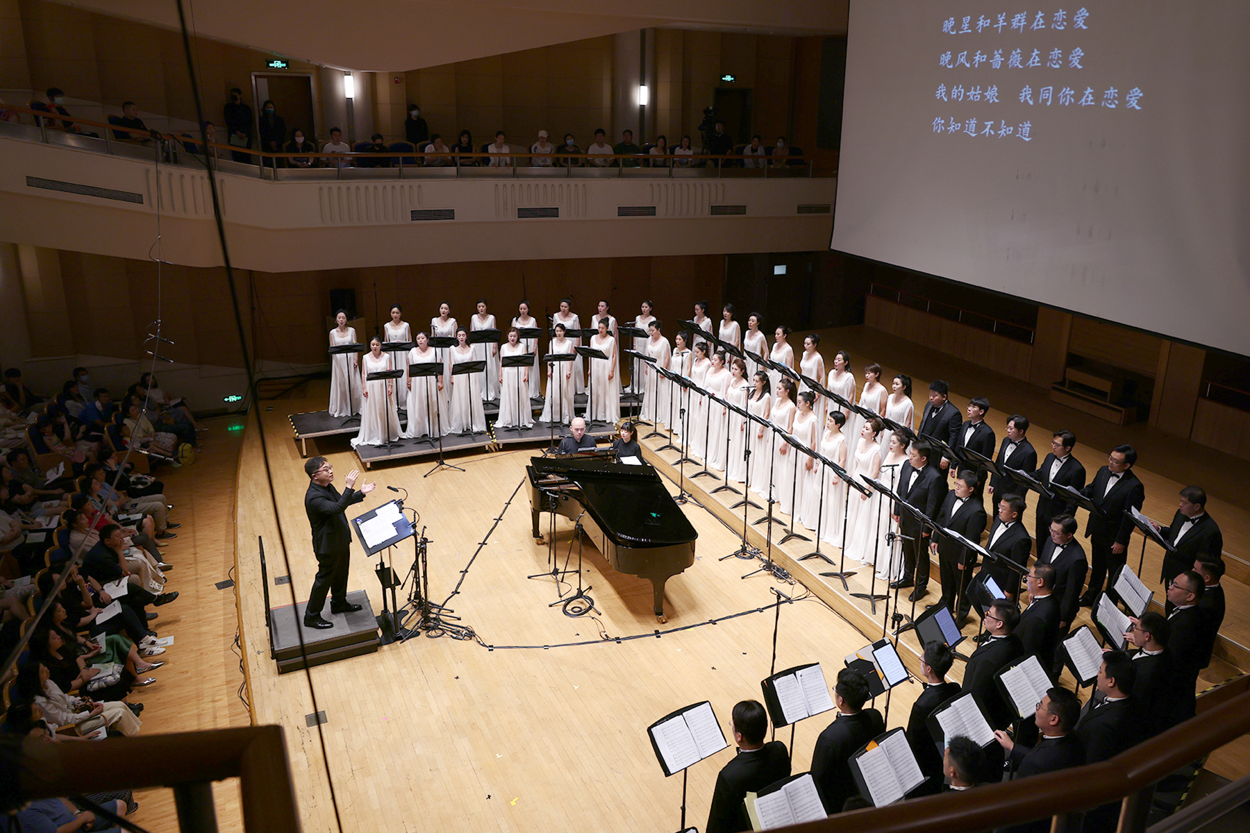 金承志成名曲,金承志最好的演出视频