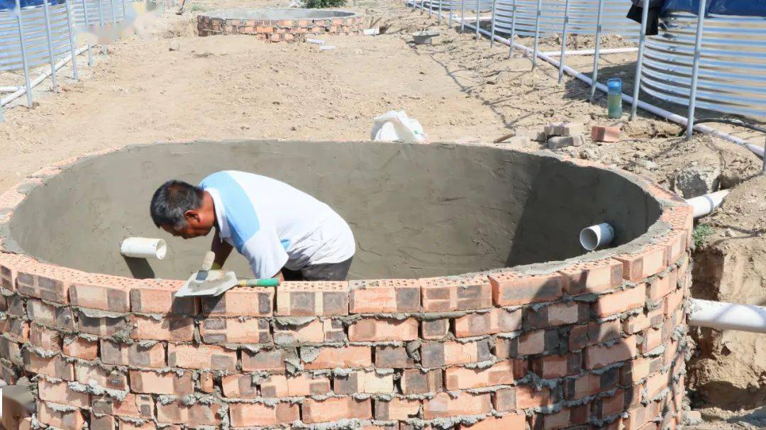 大棚养虾致富项目,对虾大棚养殖基地