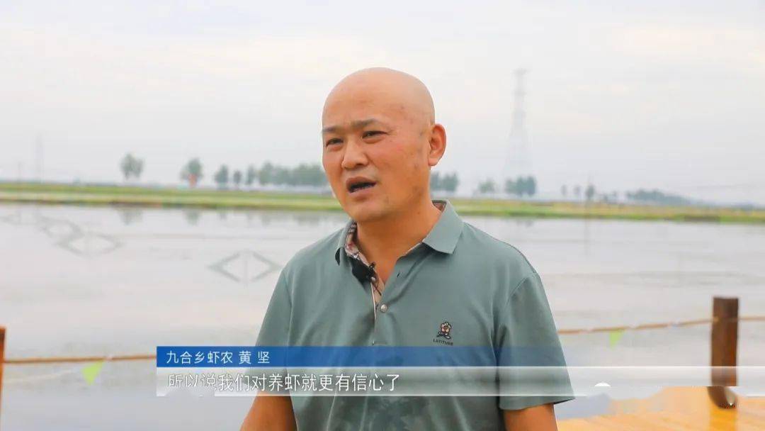 稻虾养殖致富记,稻虾养殖的经济效益