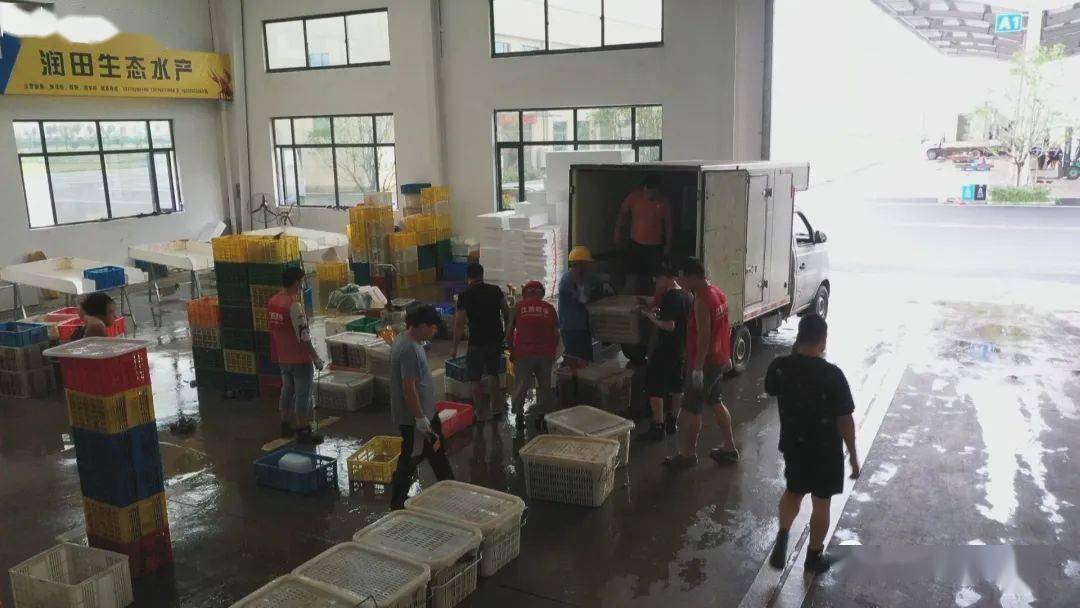 稻虾养殖产业发展情况,淡水养虾新模式亩赚7000元