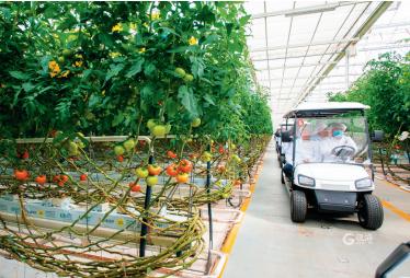 自主研发最新成果发布,自主研发的黑科技