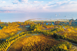 云南昆明绿色发展,昆明绿水青山最新规划