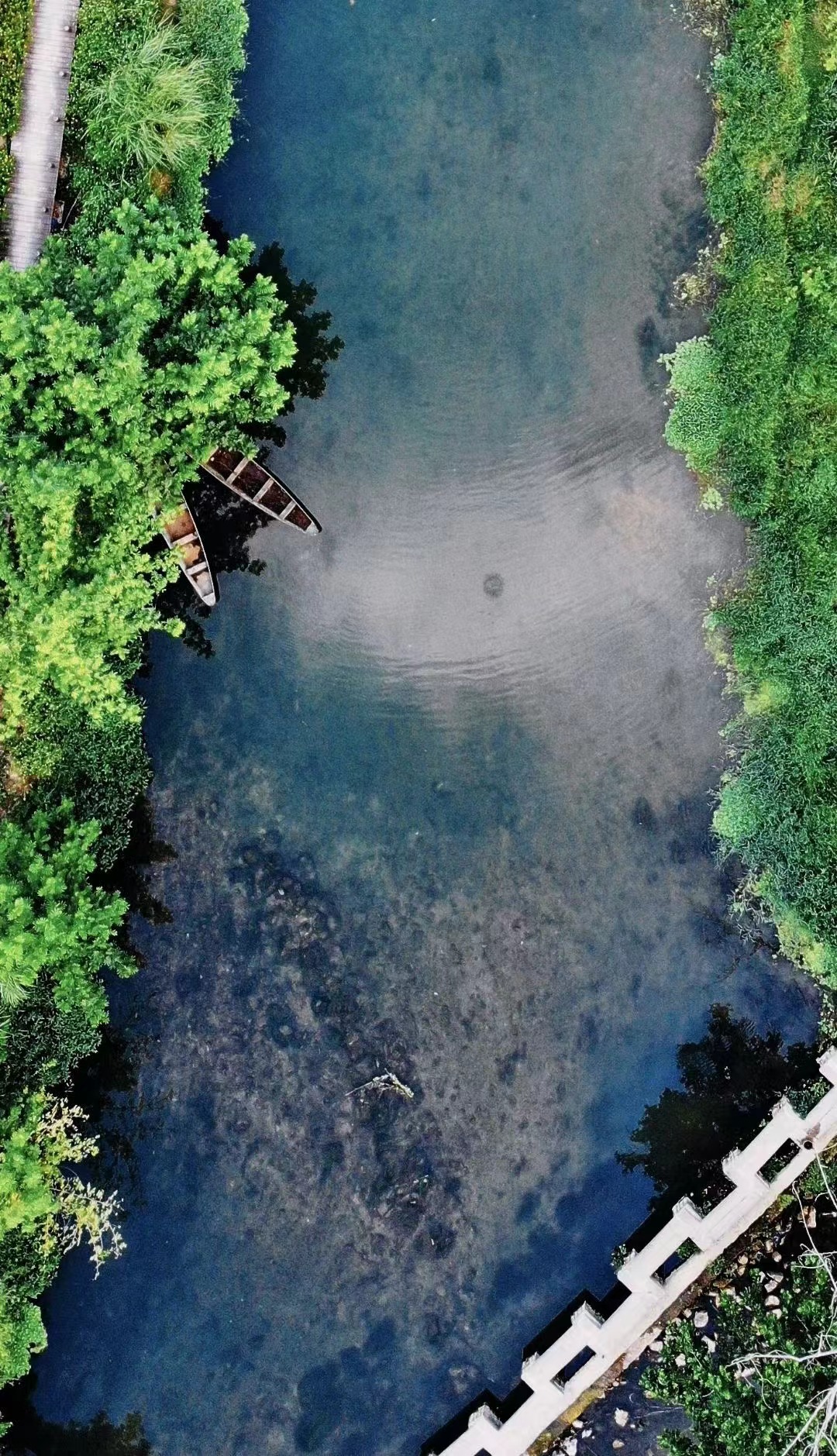 有一种叫云南的生活｜生活在悠然自得的坝美是什么体验？