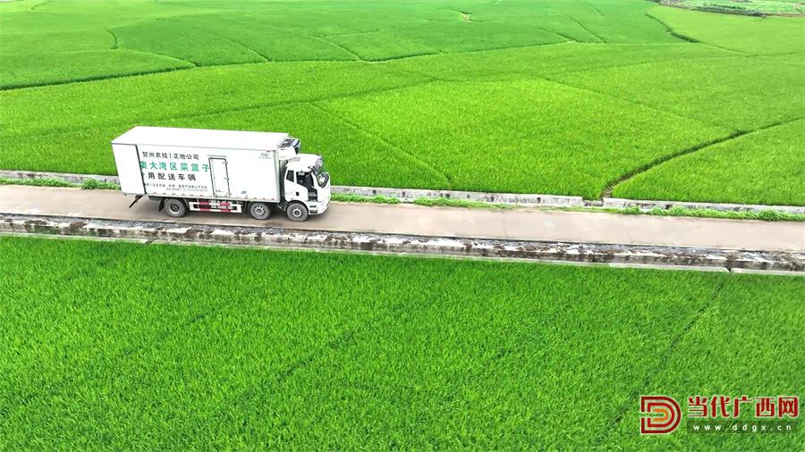 供港蔬菜基地,供港蔬菜种植基地发展情况