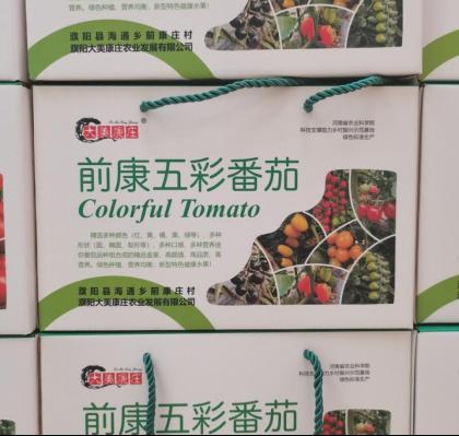 河南省农科院驻濮阳县海通乡前康庄村帮扶工作队发展设施果蔬纪实