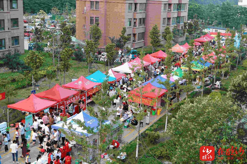 社区邻里的文化节,社区家庭文化节