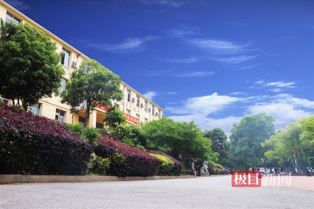 极目云探校武汉大学,东湖光电学校怎么样好进吗