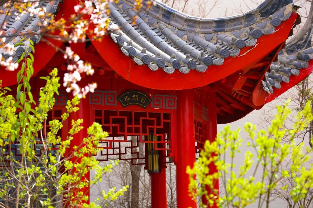 河南郑州师范校招,信阳师范学院在河南能招多少人