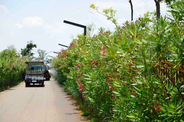 在云南有一种旅行叫做风景在路上,昆明适合一个人静静的小众打卡地