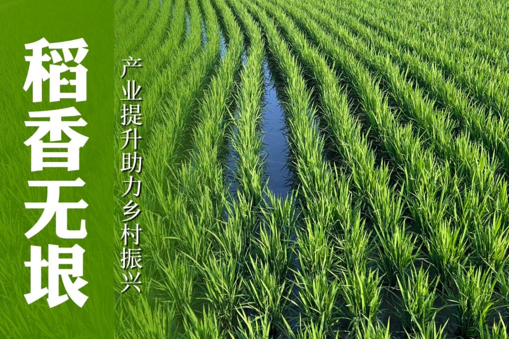 专家谈振兴东北之加强产业转型,东北振兴产业如何破局