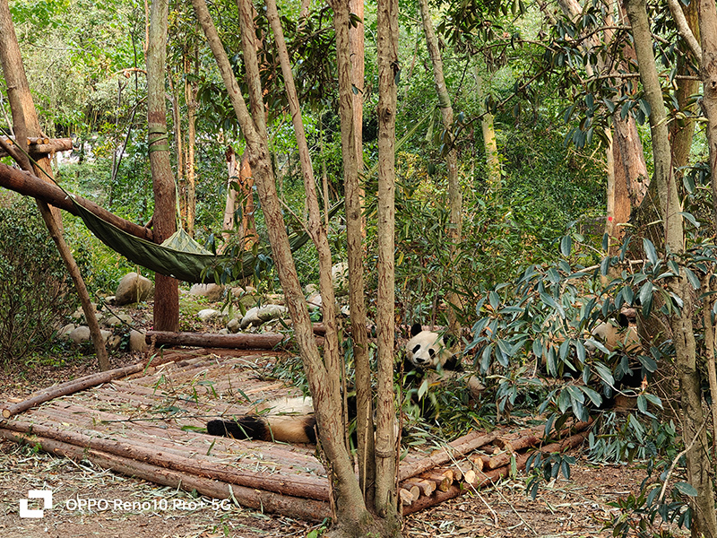 成都夏季周边适合一日游的地方,成都小长假旅游攻略