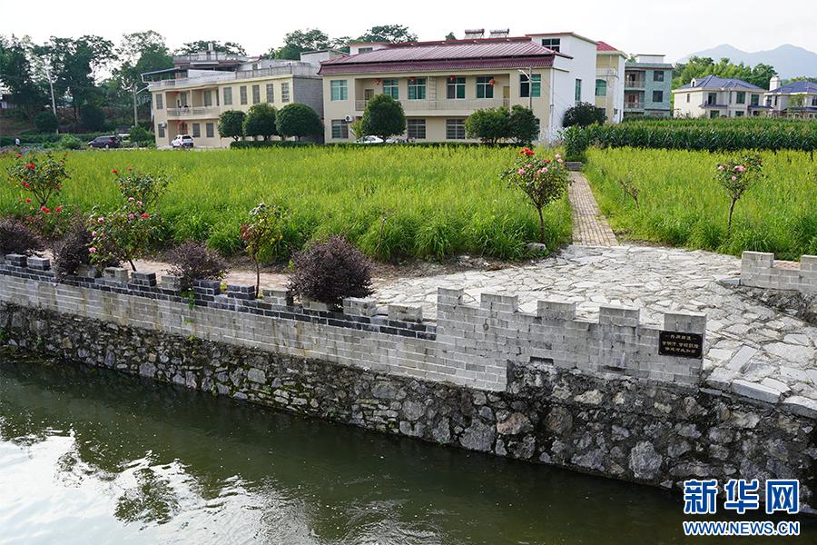 全面推进乡村振兴工作落实落地,乡镇五项措施推进乡村振兴