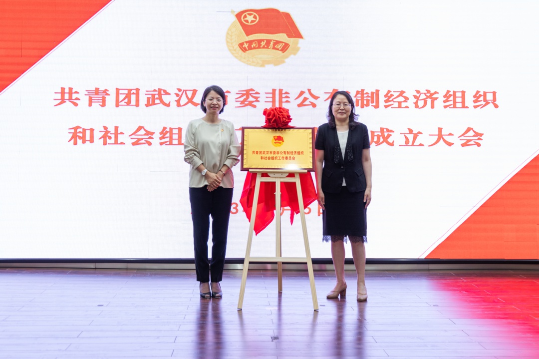 非公经济组织共青团,非公有制经济团工委