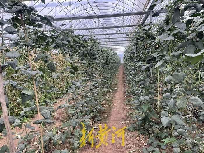 85后大学生回家种地年收入1800万,浙江95后女生辞工作种田年赚75万