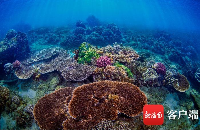 海南暑假旅游攻略自由行,海南研学亲子游