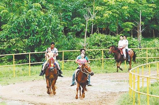 海南暑假旅游攻略自由行,海南研学亲子游