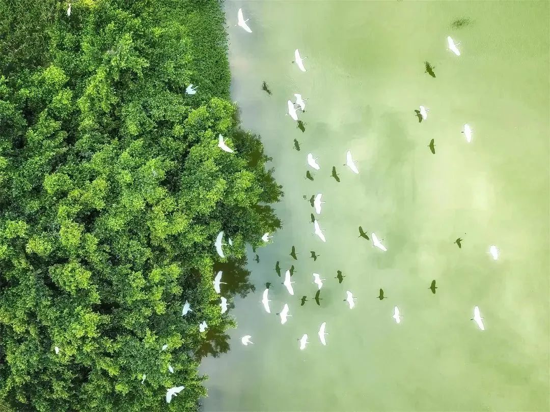 东莞暑期旅游推荐,东莞半日游最佳景点