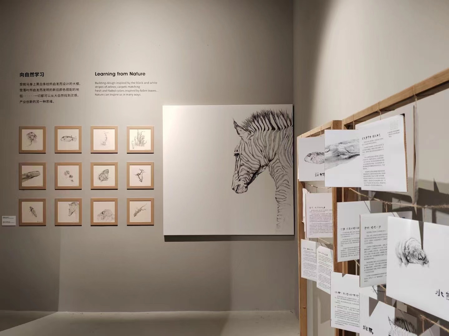 一周艺术人物｜姚南薰请辞创始馆长，科拉“牵手”柏林双年展