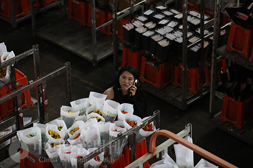 云南最大的鲜花拍卖市场,世界第一大鲜花拍卖市场