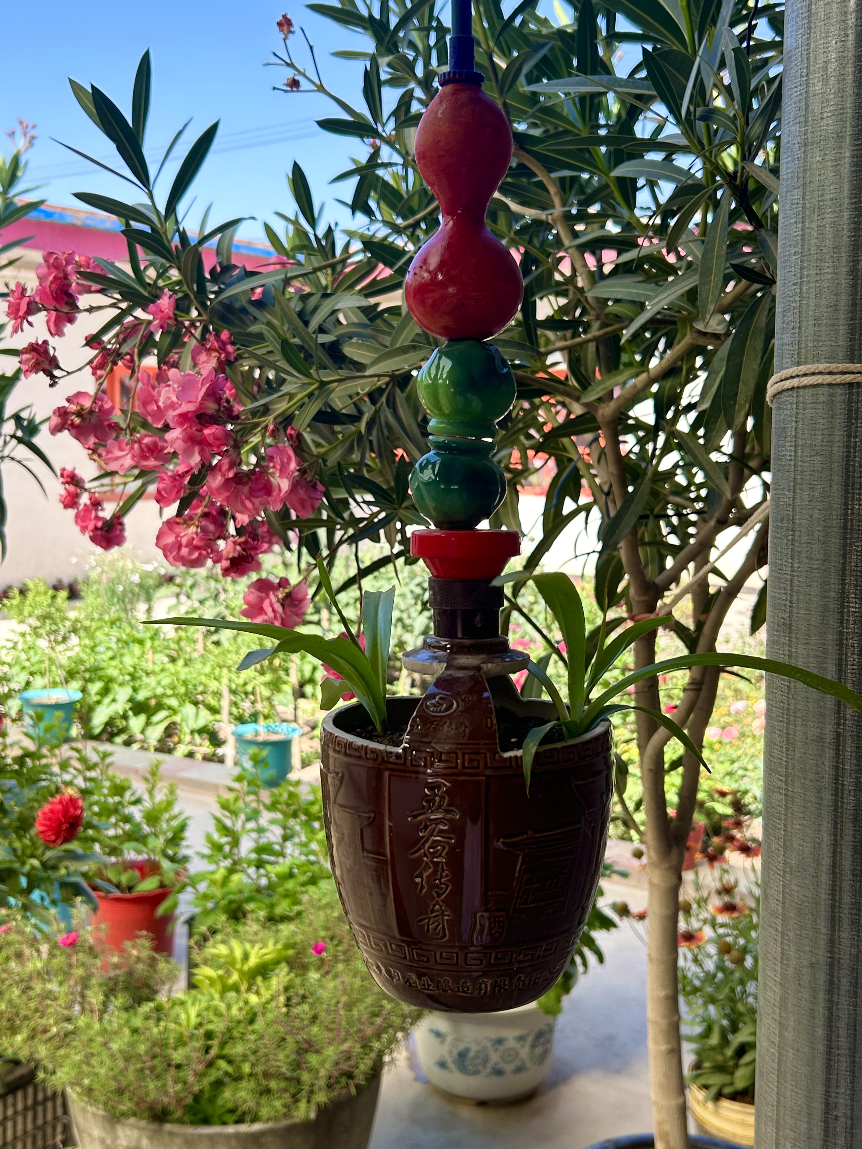 老李头的香水店,老李头普洱茶店