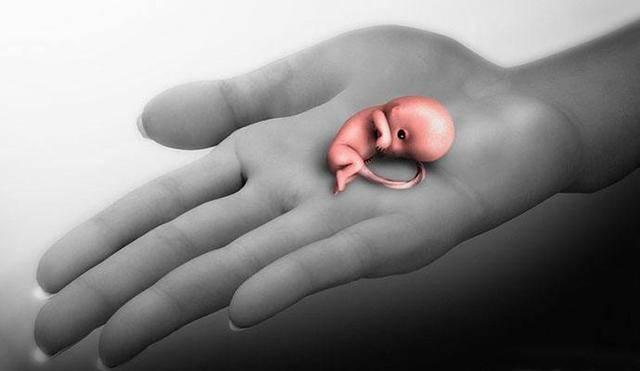 官宣:是的,我流产过