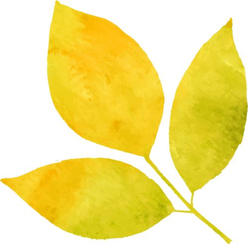 笋干炒莲藕,周宁笋干肉包