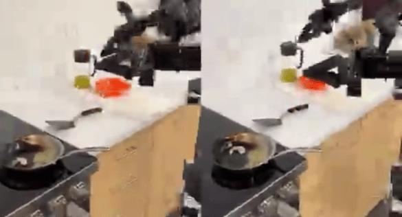 斯坦福家务,国外智能家务机器人