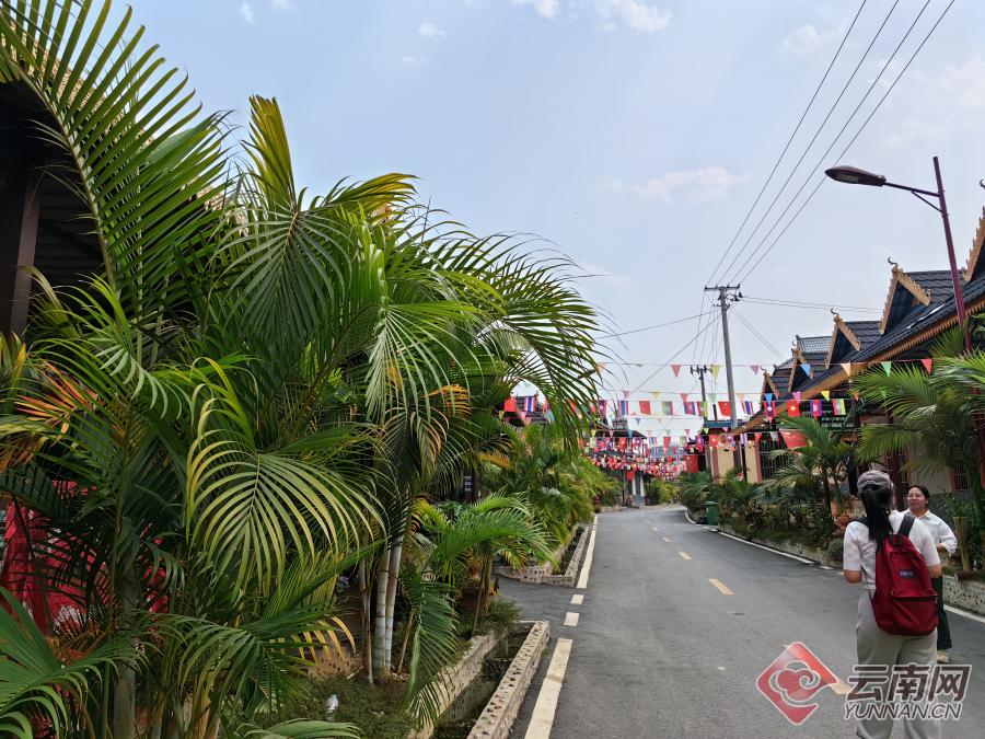 万千气象看美丽云南,西双版纳傣族村寨风光
