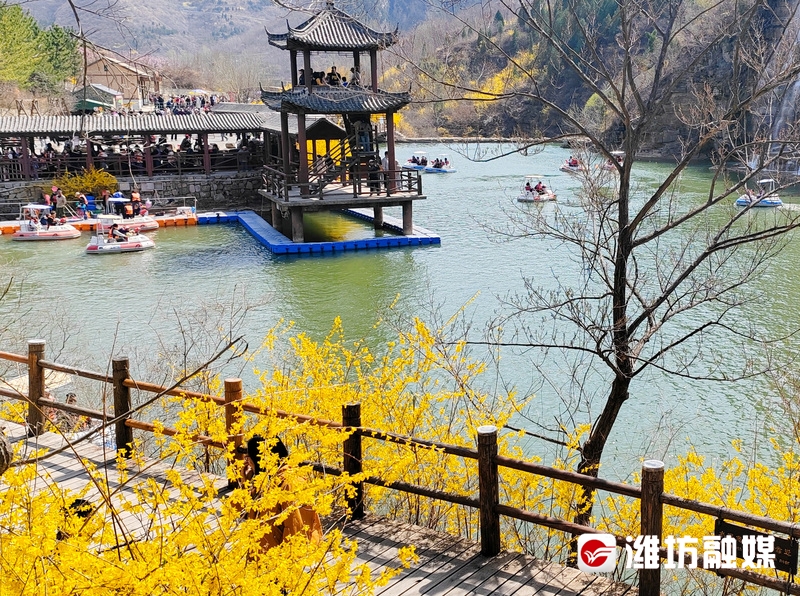 这个假期盛开如花,赴一场花之约邂逅春日浪漫