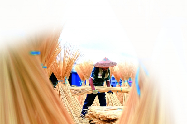 七山一水两分田视频,七山一水二分田浙江为什么富裕