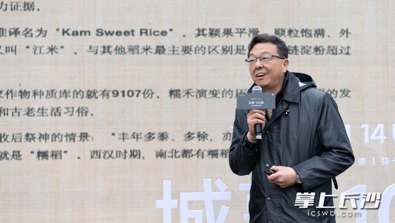 全景航拍橘子洲高清视频,航拍长沙橘子洲视频