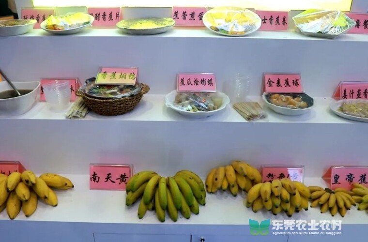东莞麻涌香蕉展销,东莞厚街食博会