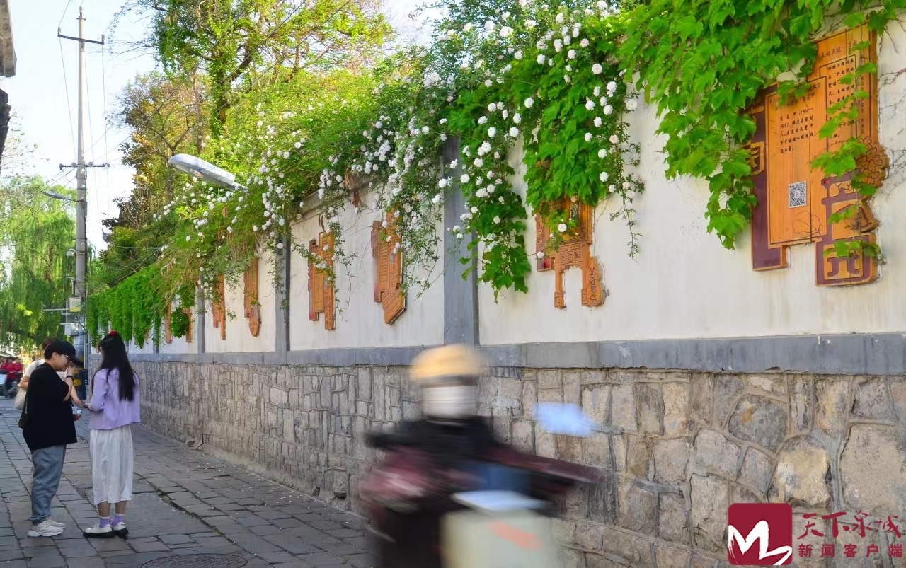济南城景掠影,济南老城河景