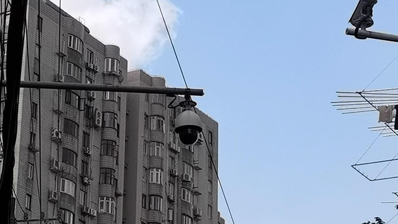 狗凶小狗怎么回事,狗狗打架被咬伤了责任如何判定