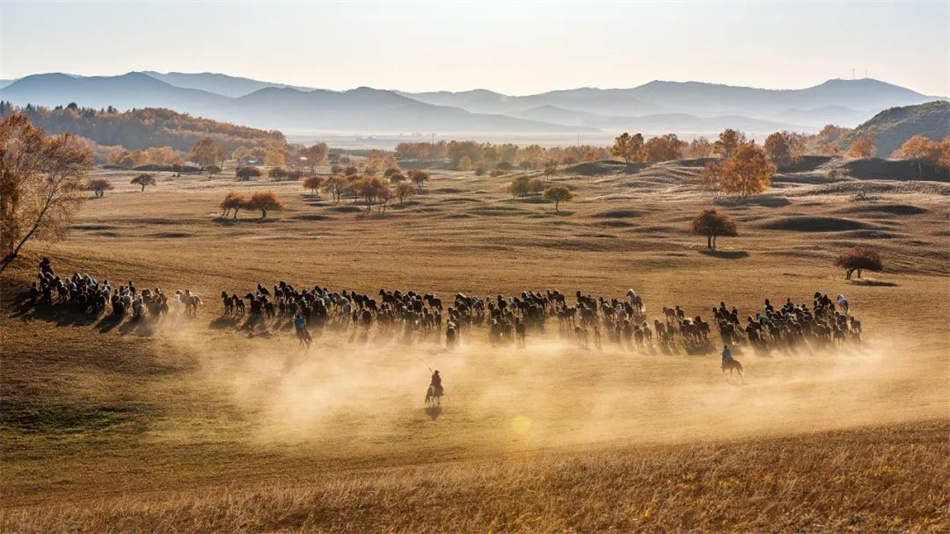 半月谈天水麻辣烫,半月谈前身