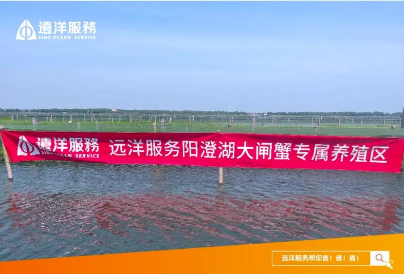 坚守品质，行稳致远——远洋服务发布2023年度业绩