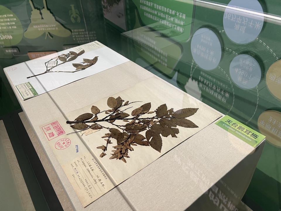 珍稀植物中的大熊猫,被誉为东方宝石的珍稀动物是什么