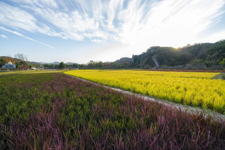 浙江的5a级风景区哪个好玩,丽水缙云风景区介绍