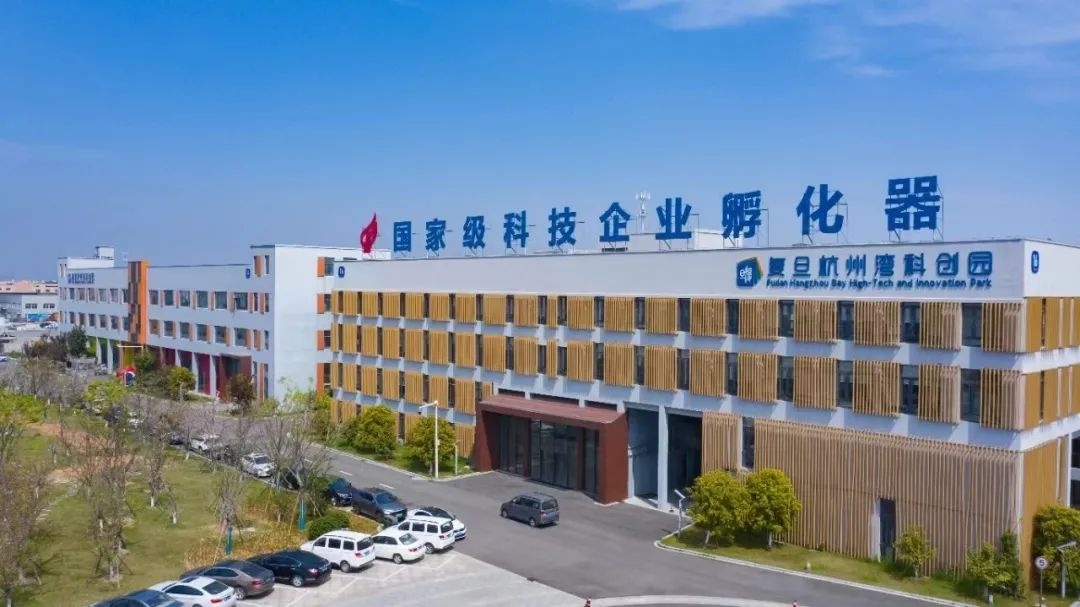 同频共振共赢未来,长三角共同发展