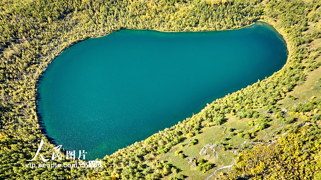 内蒙阿尔山美景视频,阿尔山国家森林公园的秋色