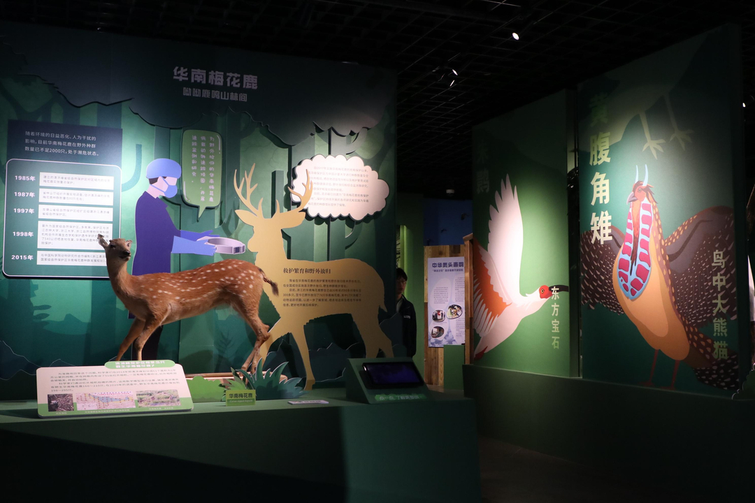 珍稀植物中的大熊猫,被誉为东方宝石的珍稀动物是什么