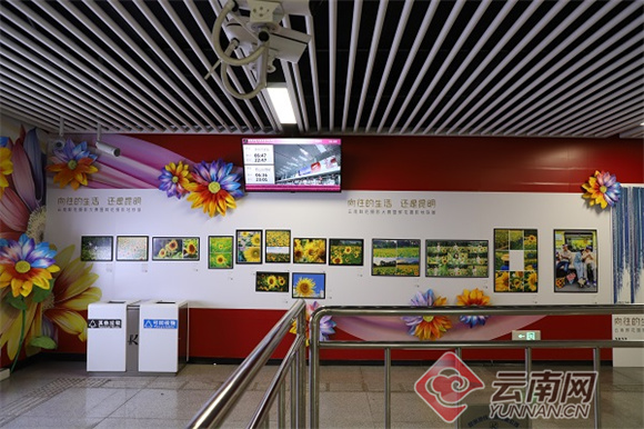 所有人都向往的生活,所有人向往的美好生活