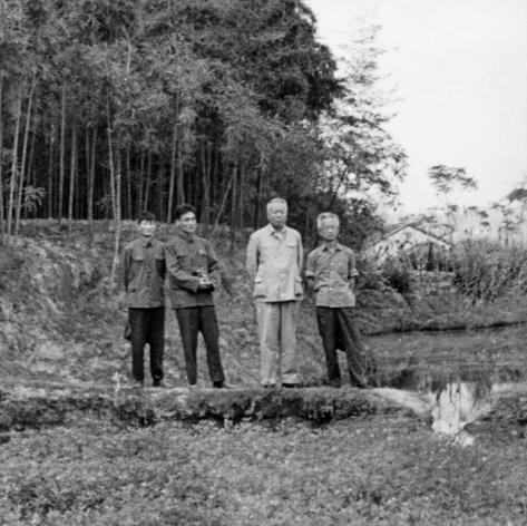 怀念文明城市,怀念中华优秀文化