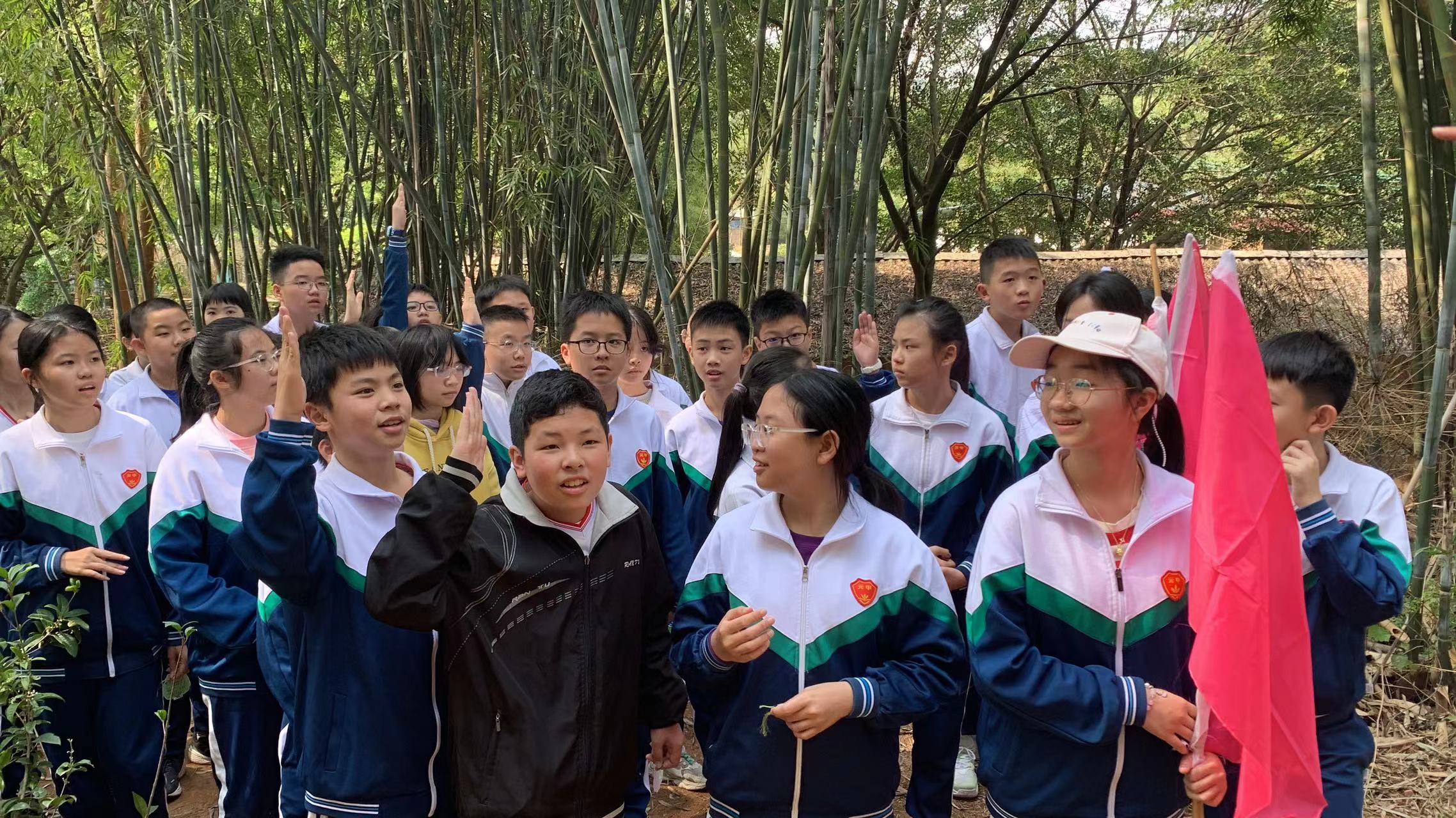 植树研学活动,植树节研学游活动