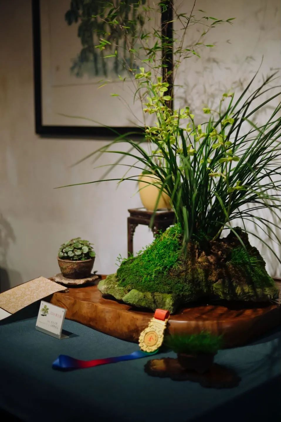 上海曲水园菊花展,曲水园兰花展