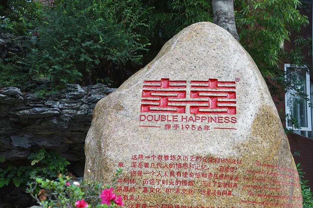 沈阳双喜压力锅历史,双喜电器是哪里的