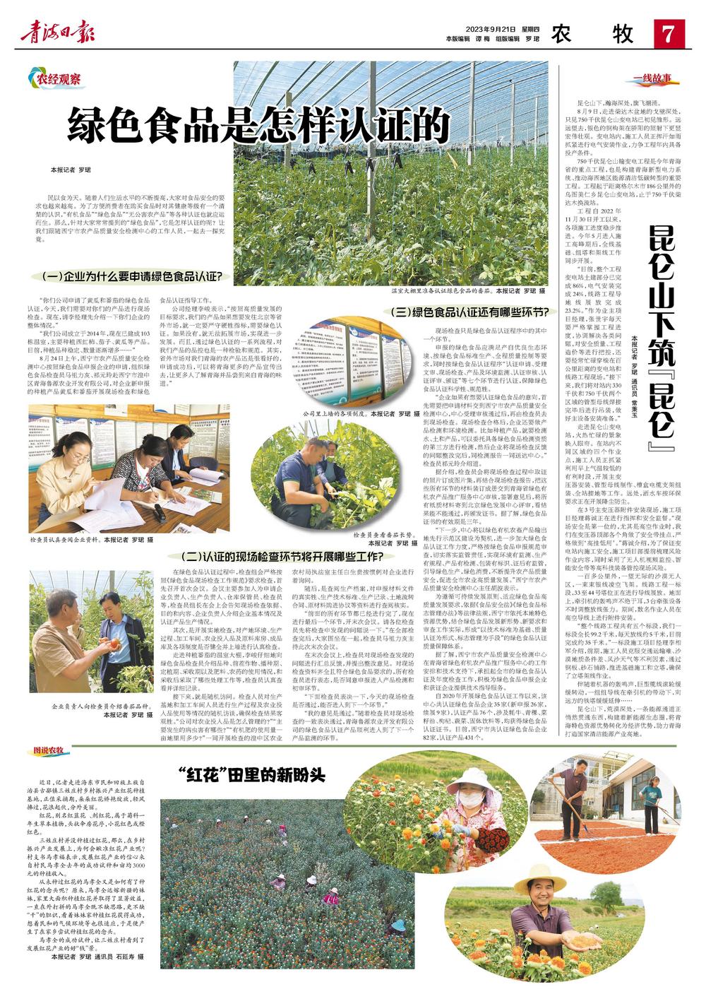 绿色食品如何认定,绿色食品安全认证标准