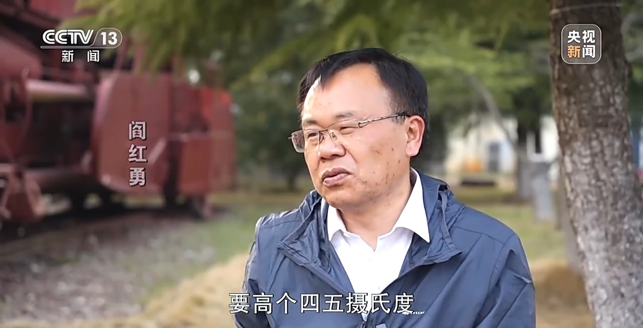 石缝种植植物,石缝种树