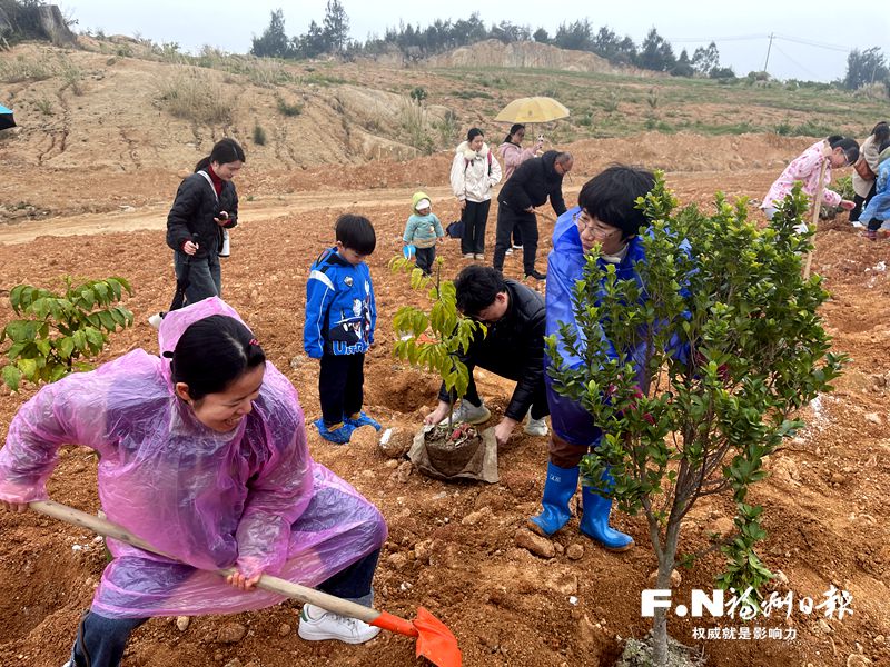 把绿色种在春天里教案,把绿色种在春天里