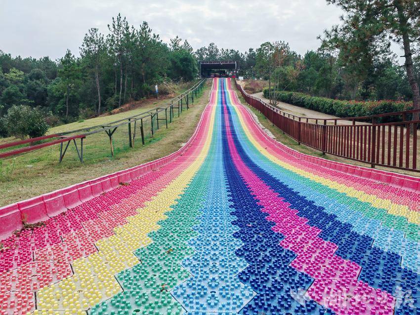 黄梅香樟园旅游区线上预订门票,背靠大树发家致富